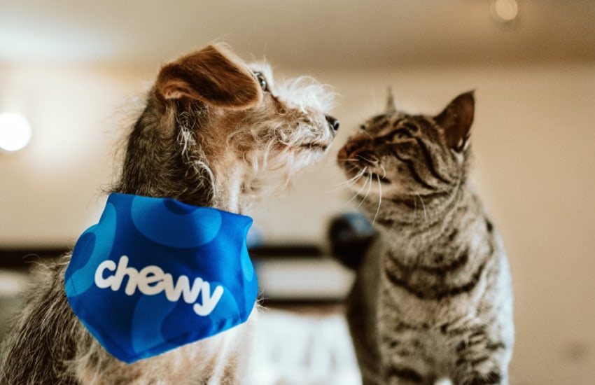 Chewy